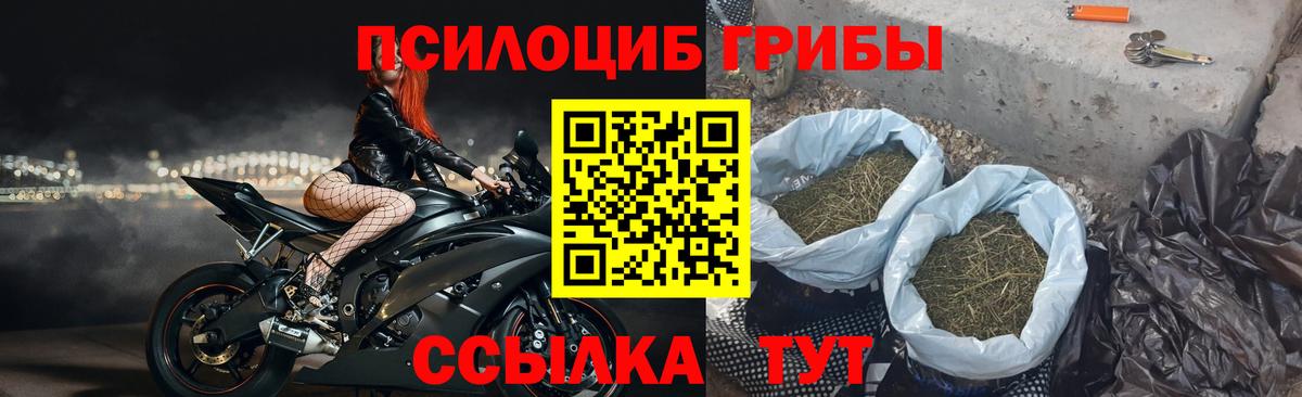 Галлюциногенные грибы мицелий Жигулёвск